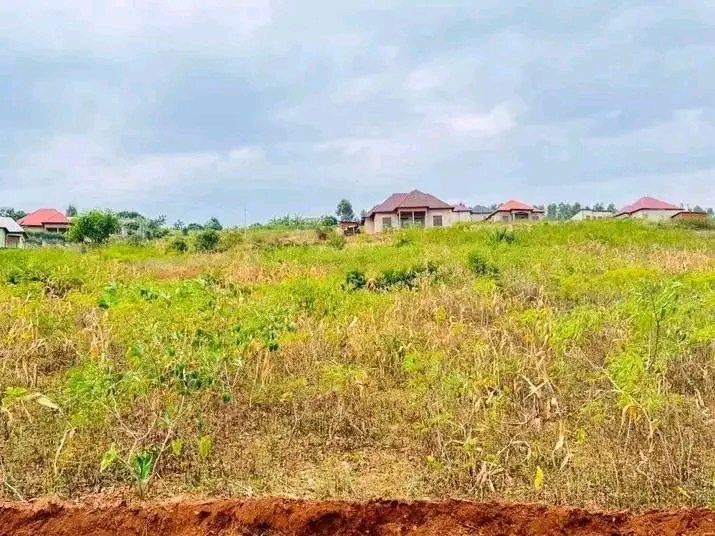 IBIBANZA BYIZA RUSORORO - RUHANGA - 8.5M