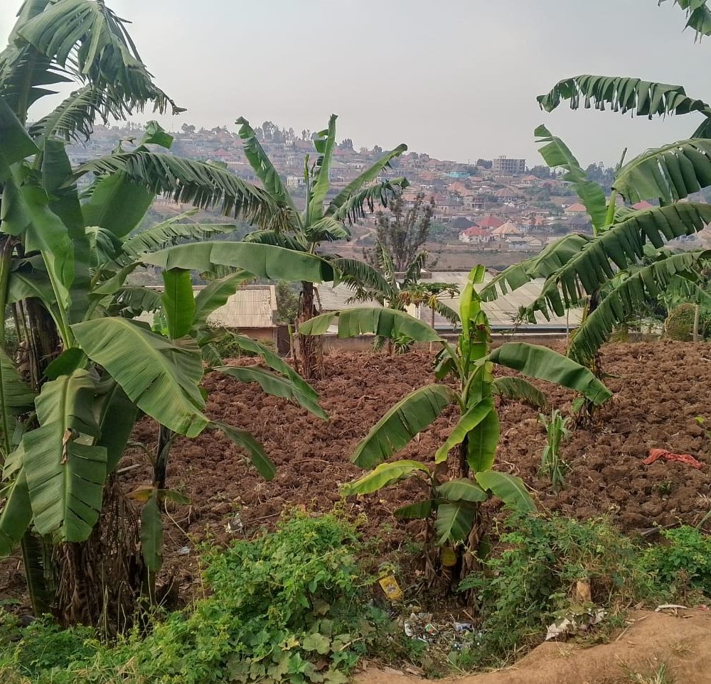 IKIBANZA CYIZA KIGURISHWA I GASANZE AHANTU HEZA MU MITURIRE-27M