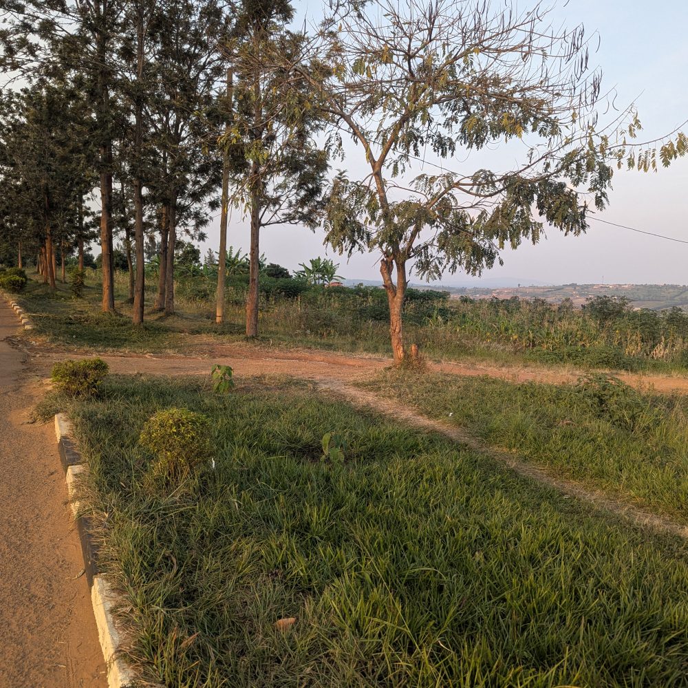 IBIBANZA BIRI KU MUHANDA WA KABURIMBO KANZENZE HAFI NA ROBA CLEAR 13 M